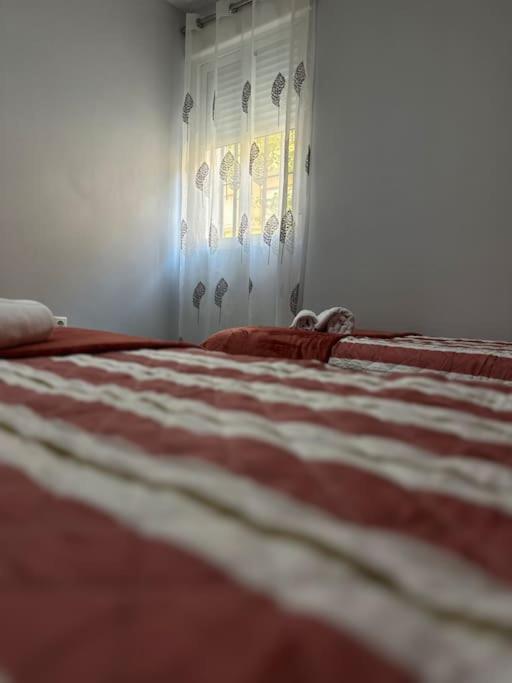 Apartamento Turistico O.N Renfe Córdoba Exteriör bild